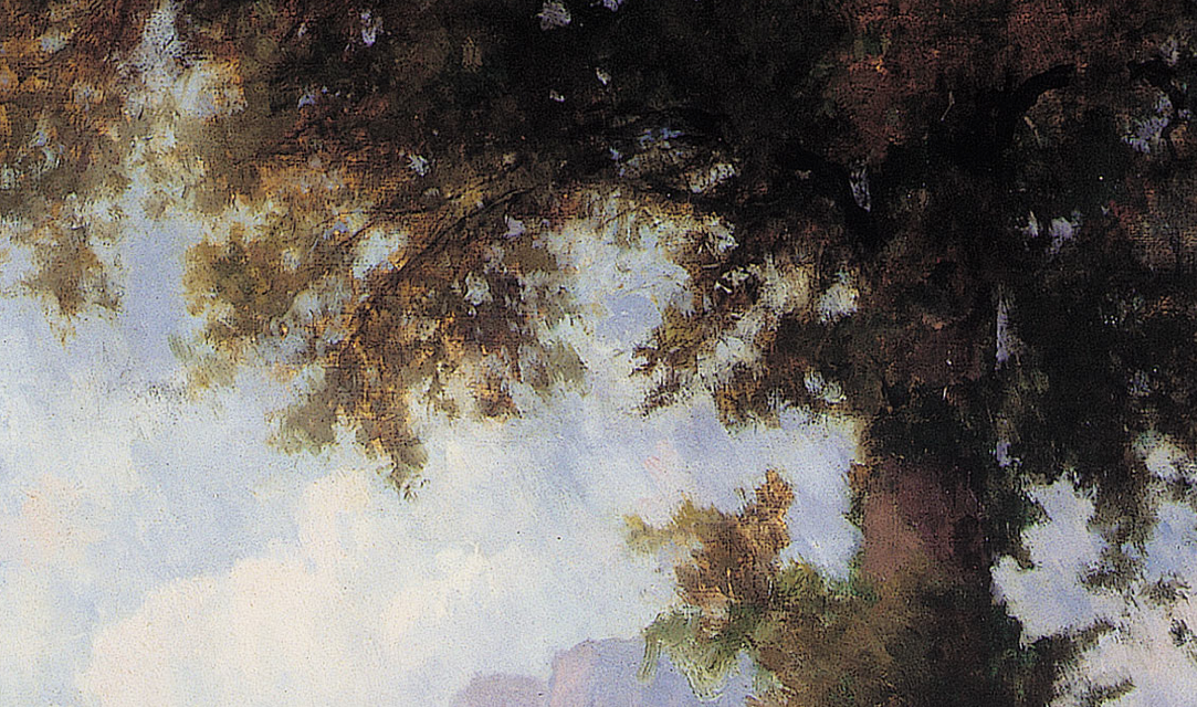 Activitats organitzades pels museus d’Olot