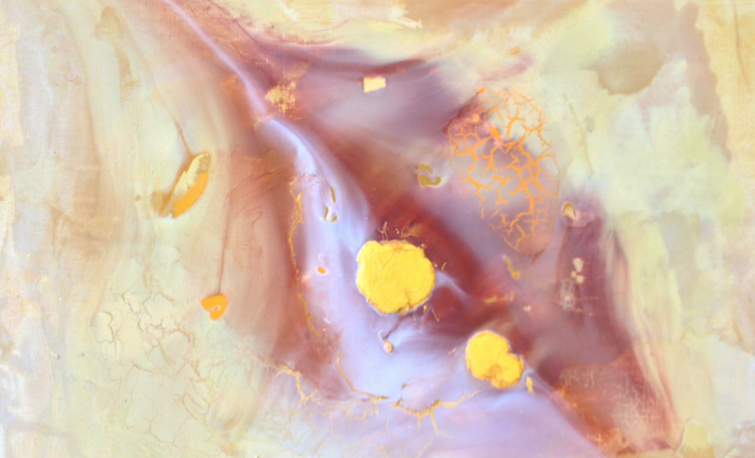 Modest Sala exposa a la Galeria Cervantes 6