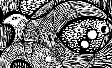 Micer32 presenta l\'obra de Joan Lacomba