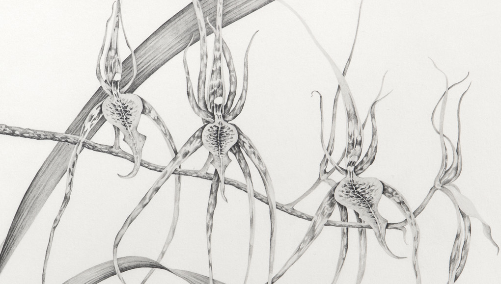 Joaquim Conca presenta \