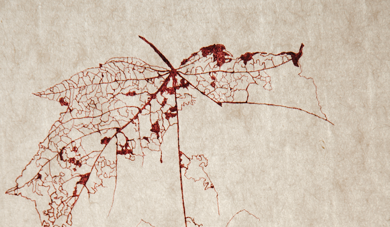 Juan Carlos Estudillo inaugura a l’Estudi Tigomigo