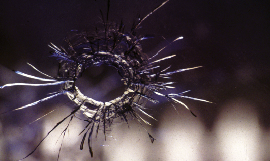 Miquel Ruiz Avilés a la Societat l\'Amistat