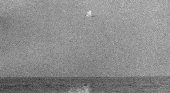 Jochen Lempert a ProjecteSD