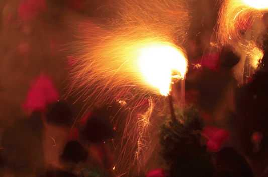 Presentació del quart volum de la col·lecció Museu de la Vida Rural