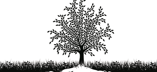 Segona edició de Sota Terra