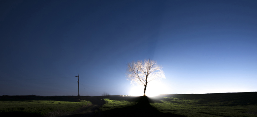 Eun Kwang Light Park/Hyun Hong a Alejandrogallery