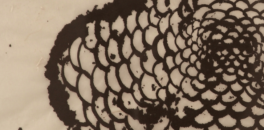 Jordi Martoranno presenta “Formes en correspondència” al Centre Sant Domènec