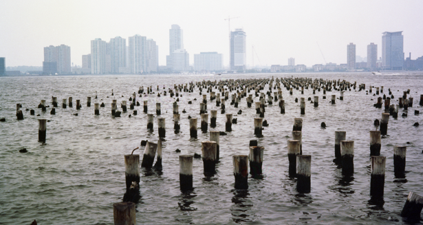 Exposició de Chema Alvargonzález a la sala Palexco