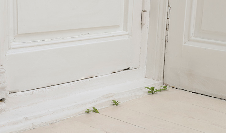 Yoshihiro Suda a la Galeria Elvira González