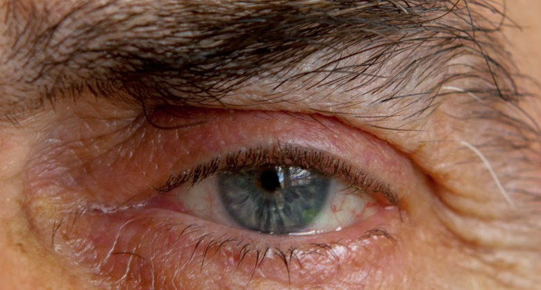 El grup Photopop exposa a la Galeria d\'Art Benítez i Barbero