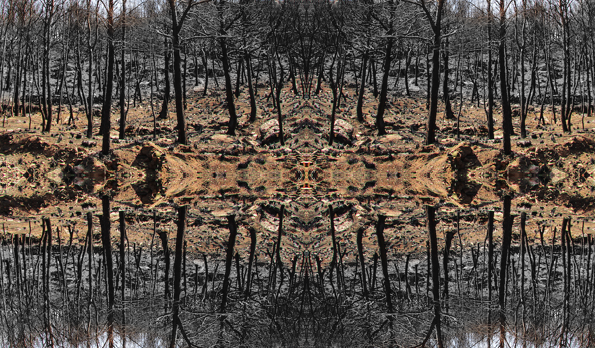 “Reconnexions” de Françoise Polo a la Galeria H2O