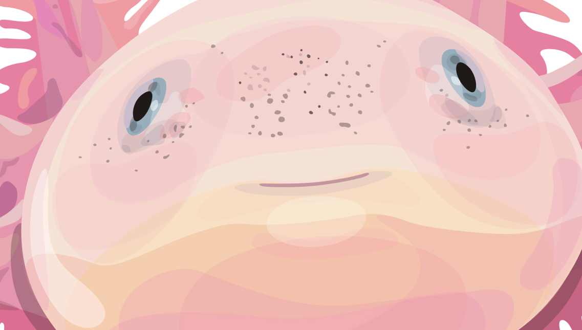 La New Gallery presenta \