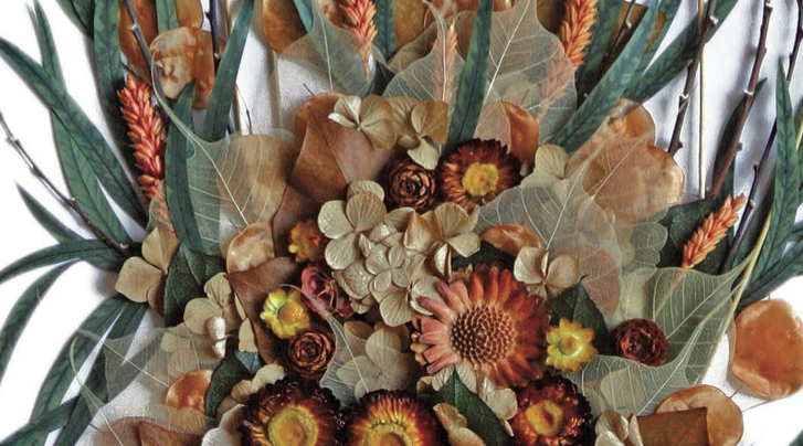 La Fundació Pinnae inaugura \