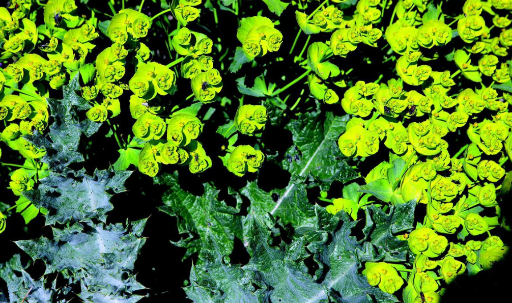 Ángel Marcos exposarà a la Sala Canal d\'Isabel II