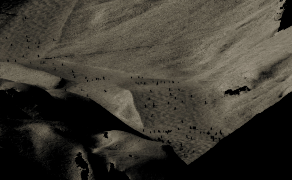 13a. Mostra Internacional Gas Natural Fenosa al MAC