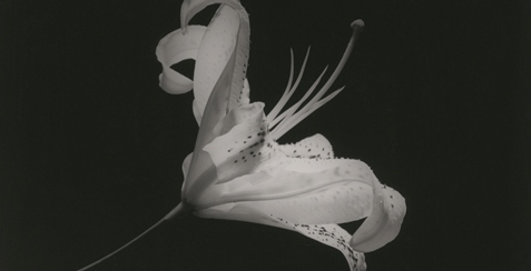 La Fundació Suñol prepara l\'exposició \