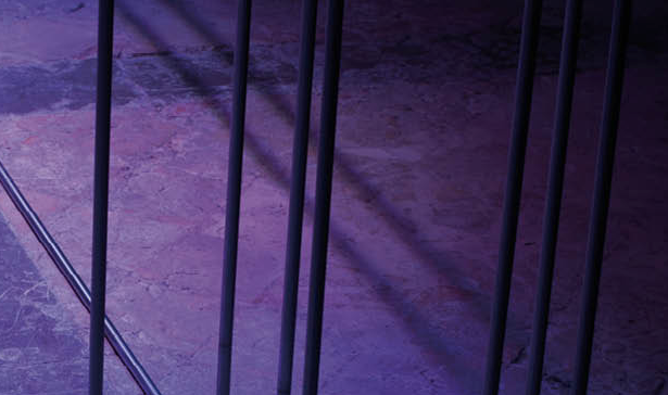 Yuko Shiraishi exposa a l\'església del Convent de Sant Domingo