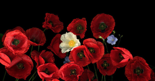 Carmen Van Den Eynde exposa a la Galeria Espiral