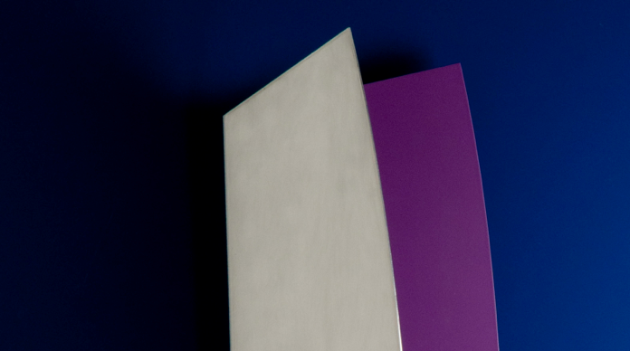 Escultures d\'Iñaki Ormaechea al Palau Ducal