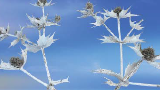 Albert Cuevas exposa a Eurostars Anglí