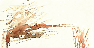 Mia Martí exposa a l\'antiga Fàbrica Noguera