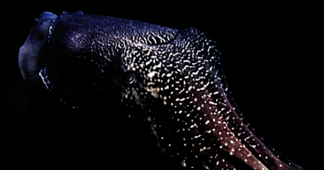 Philippe Parreno presenta \