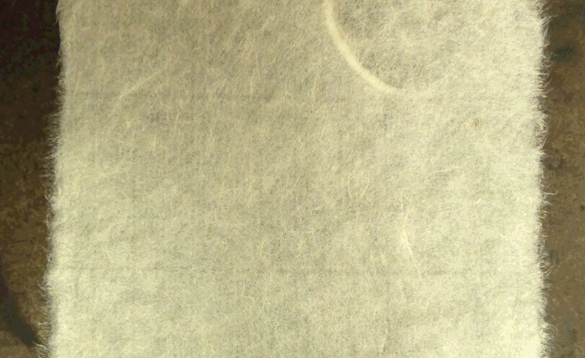 Tots els guanyadors del Mini Print de Cadaqués a la Galeria Aqua Fortis