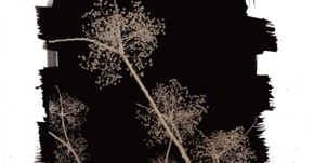 Juliette Lesquerbeau presenta \