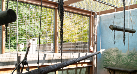 Mira Bernabeu a la Galeria Rosa Santos