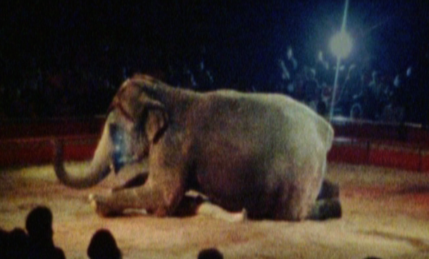 “Capítol III. Manifest. Art avui, davant dels dubtes” al Fabra i Coats