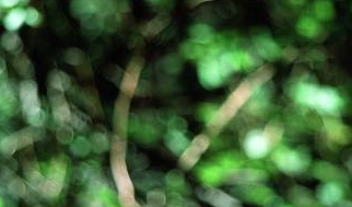 Juan Bufill a la Galeria Gaspar