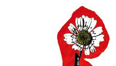 Premi Ciutat de Manacor al Museu d\'Història