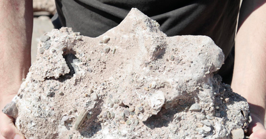 “Xavier Ribas. Nitrat” al MACBA