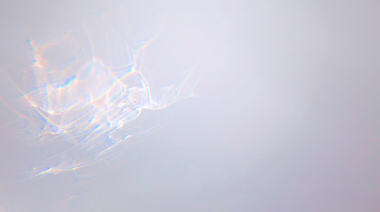 Lídia Benavides exposa a la Galeria Pilar Serra