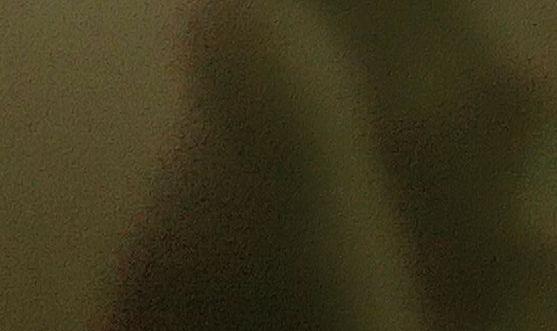 La Galeria Magda Bellotti presenta \