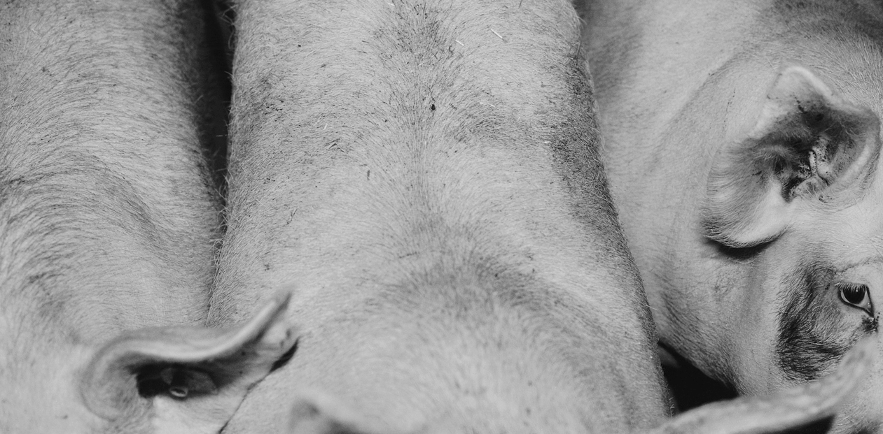 Les fotos guanyadores del Prix Pictet sobre sostenibilitat al Palau Robert