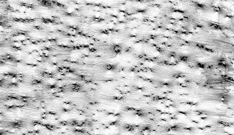 Miguel Guzmán Pastor, artista en residència a Addaya