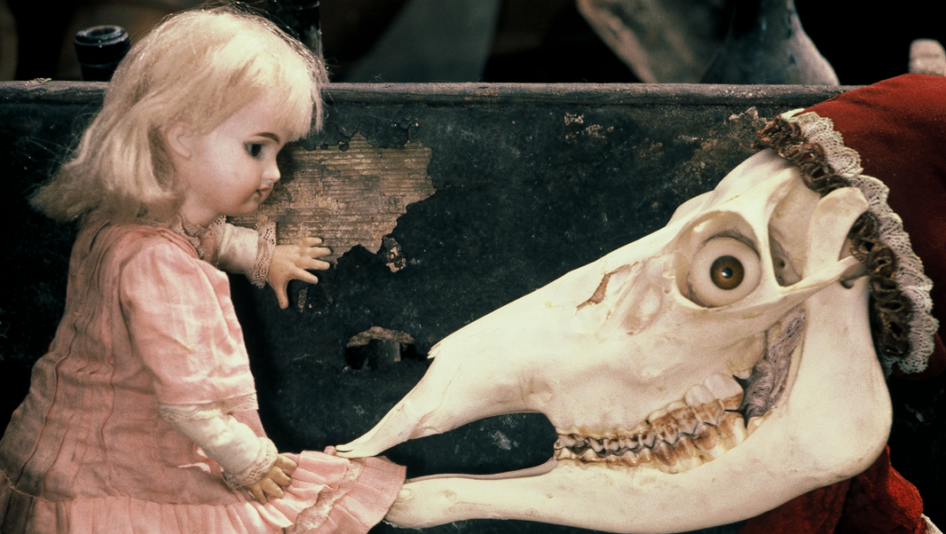 Un cap de setmana únic al MACBA i el CCCB