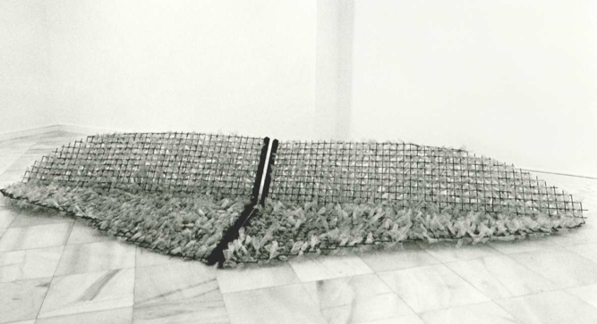 Susana Solano presenta “Vol rasant” a la Fundació Suñol