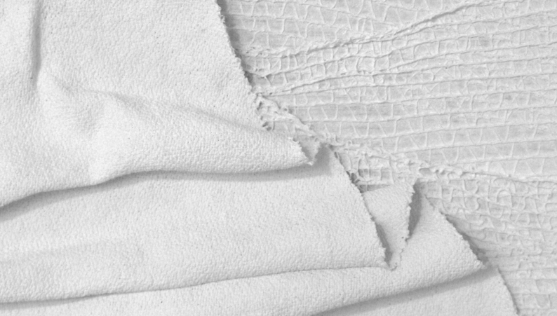 Carolina Picas presenta \