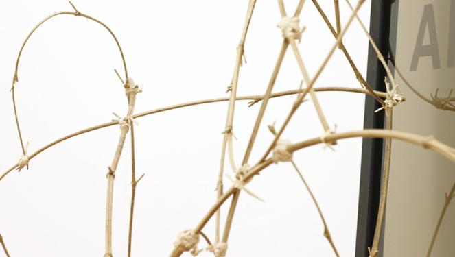 Carneiro i Casás exposen a la sala de la Diputació