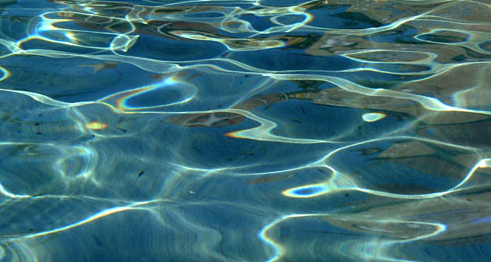 Premi de Fotografia organitzat per l\'Institut de Recerca de l\'Aigua