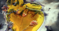 Nani Navarro exposarà a Girona, Temps de Flors 2014