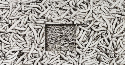 Manuel Boix i CharlElie exposaran al Centre d\'Art Contemporani