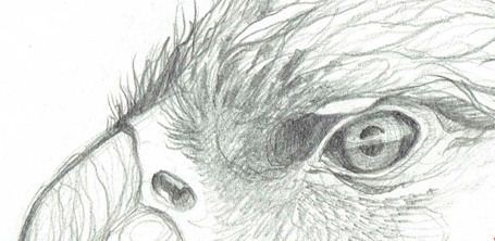 Nirvana Jiménez presenta \