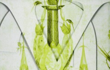 Thomas Locher a la Galeria Helga de Alvear