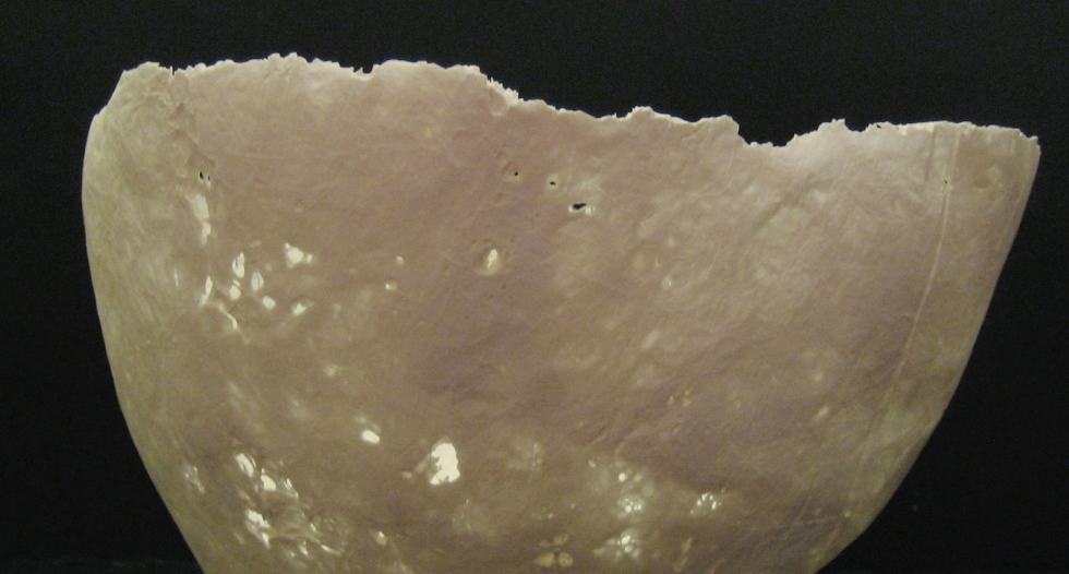 Marta Dávila a la Galeria Camil·la Pérez Salvà