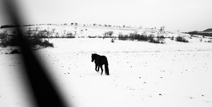 Aleix Plademunt exposa a la Galeria Tagomago