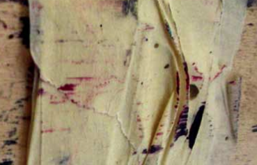 Les Bernardes presenta exposicions de Benet Costa i Narcís Fortià