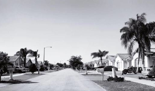 Rosell Meseguer presenta \